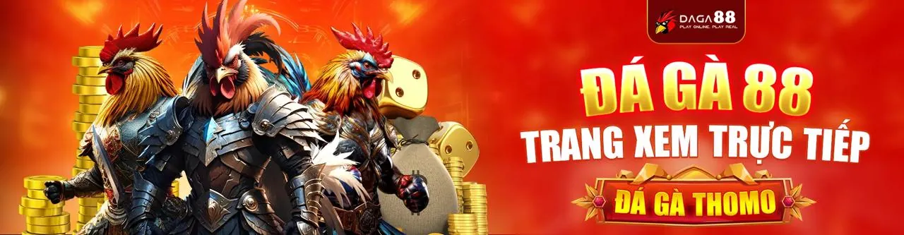 Đá gà trực tuyến kịch tính tại đấu trường